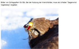 vogelsterben