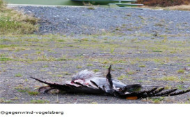 vogelsterben
