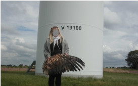 vogelsterben